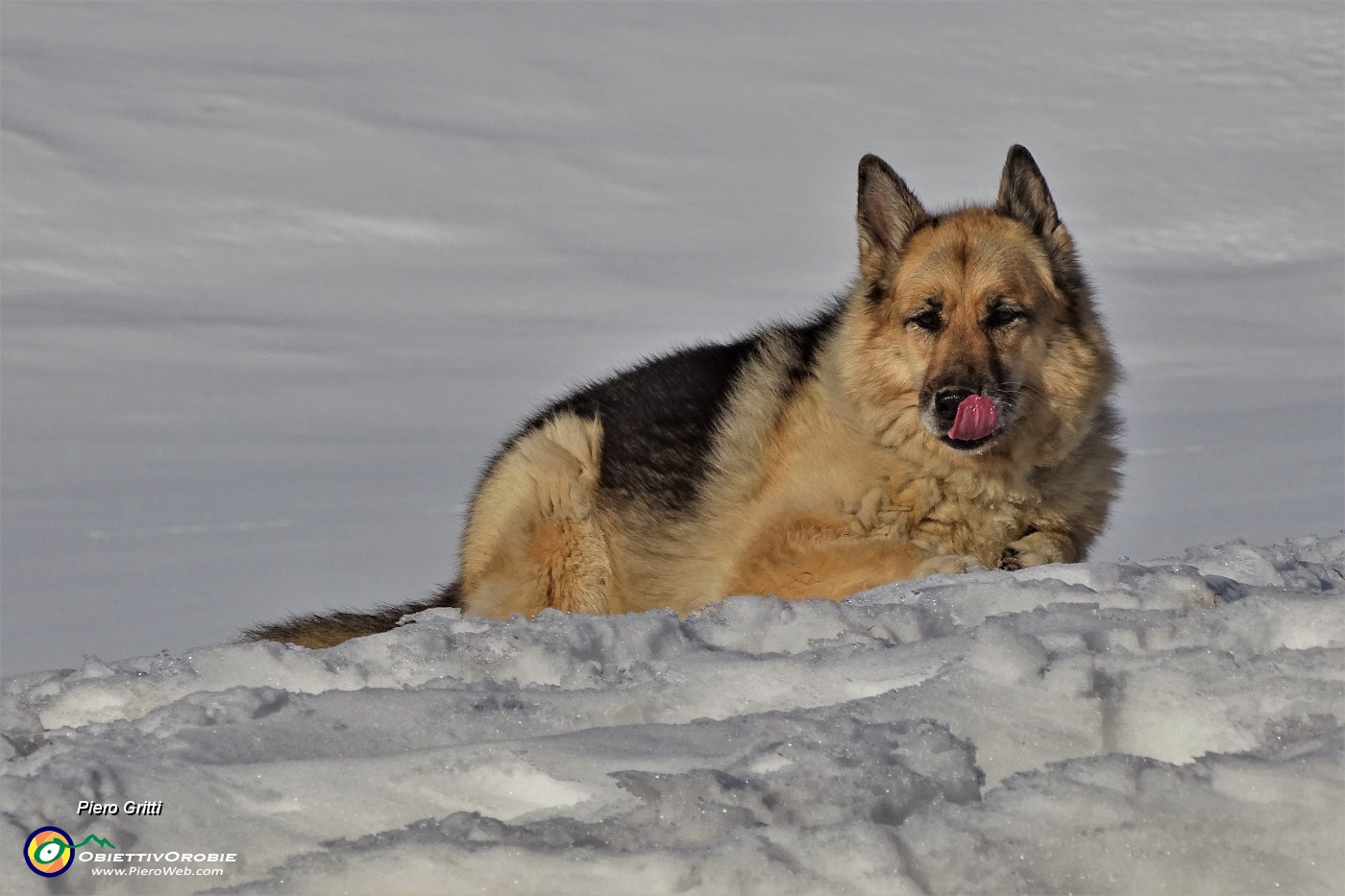 24 Buona le neve !.JPG